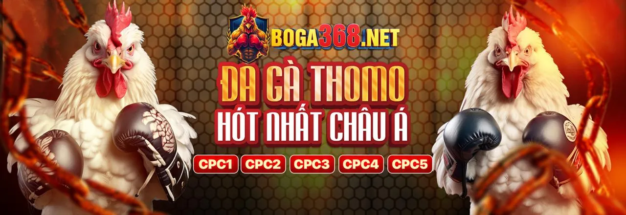 Hình ảnh chính Blog hi889 đăng nhập, cá cược trực tuyến